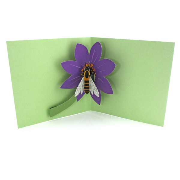 Pop-up-Karte "Biene auf Blume" online kaufen - Klappkarte Ansicht 1