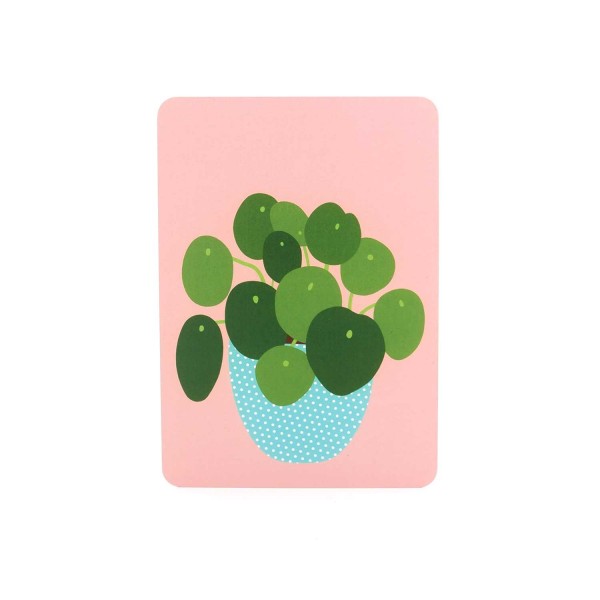 Postkarte mit einer Pfannkuchenpflanze